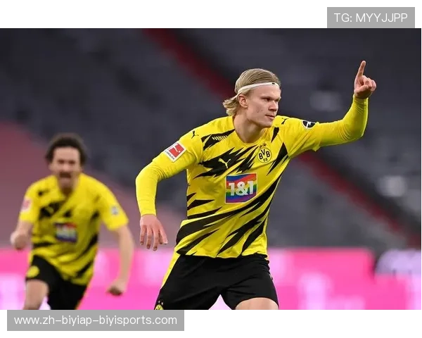 德甲球队标志4008：探索德甲球队标志的形状、颜色与视觉冲击