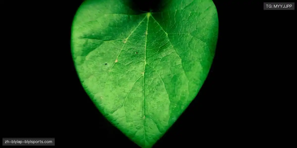 💥潮流装备，让运动与时尚完美碰撞！